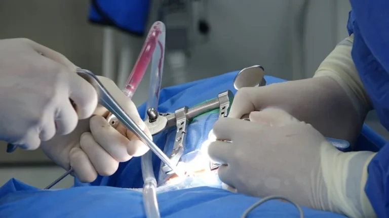 Advances in Vitreoretinal Surgery: Smaller Instruments, Bigger Impact